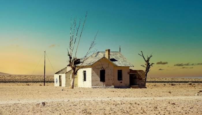House in the Desert: Asset Ownership and Illiquidity