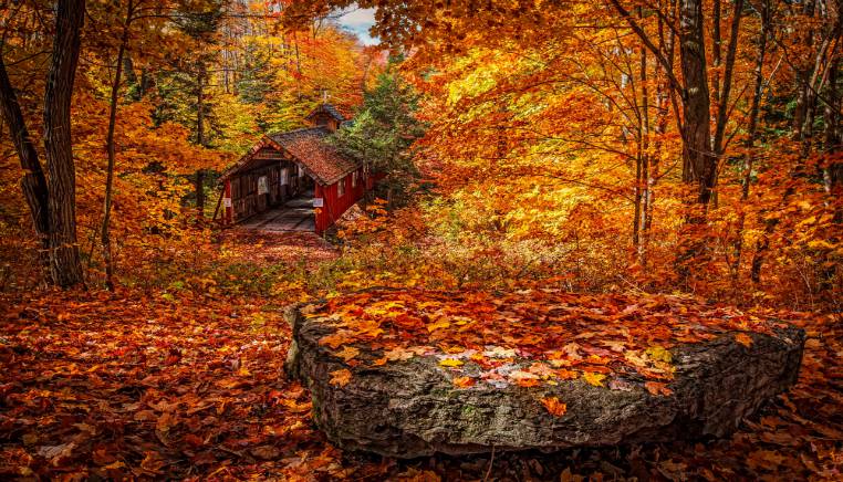 Nov outlook