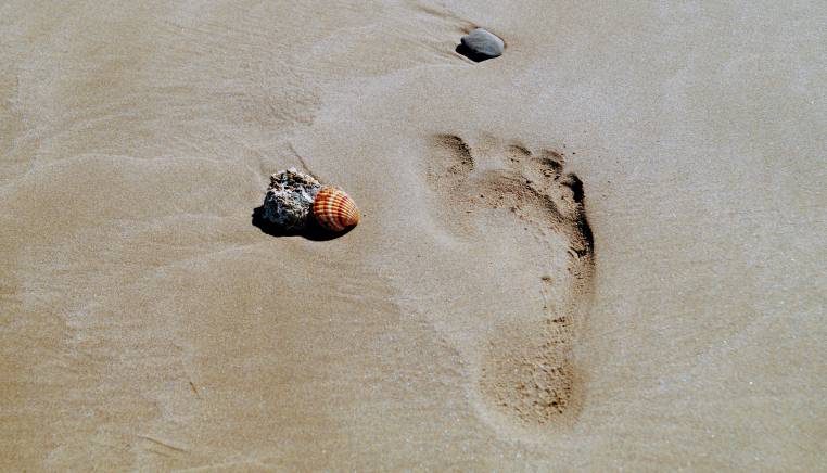 carbon footprint