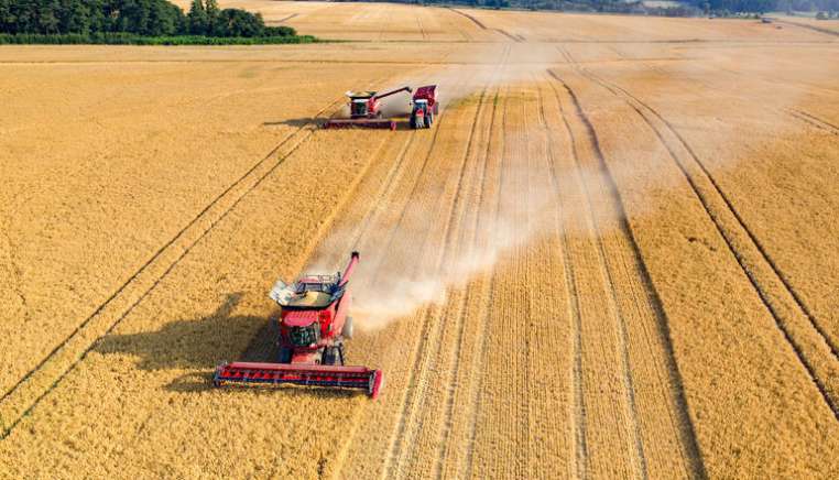 agriculture farmland