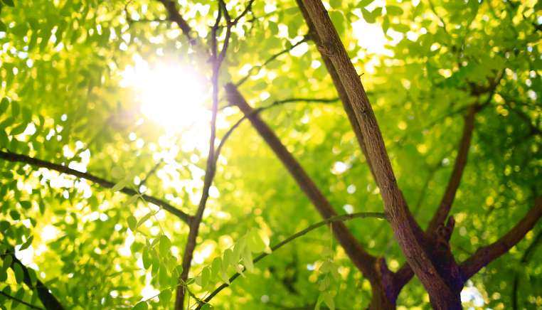 green economy