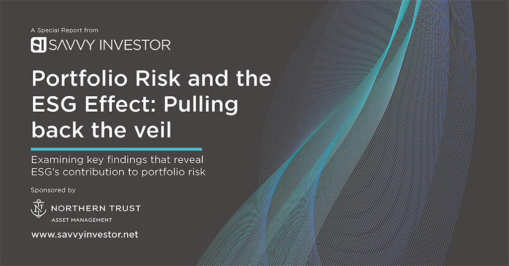 portfolio risk ESG effect