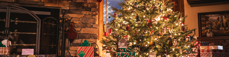 Christmas reading list: The search for alpha continues in 2026