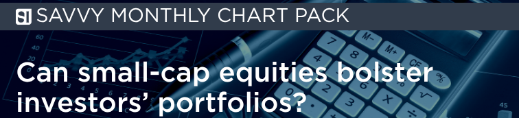 Monthly chart pack: Taking a closer look at small-cap equities