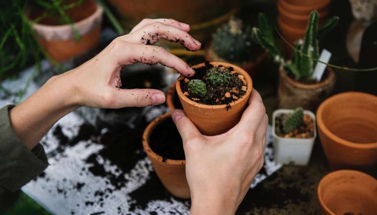sustainability stewardship