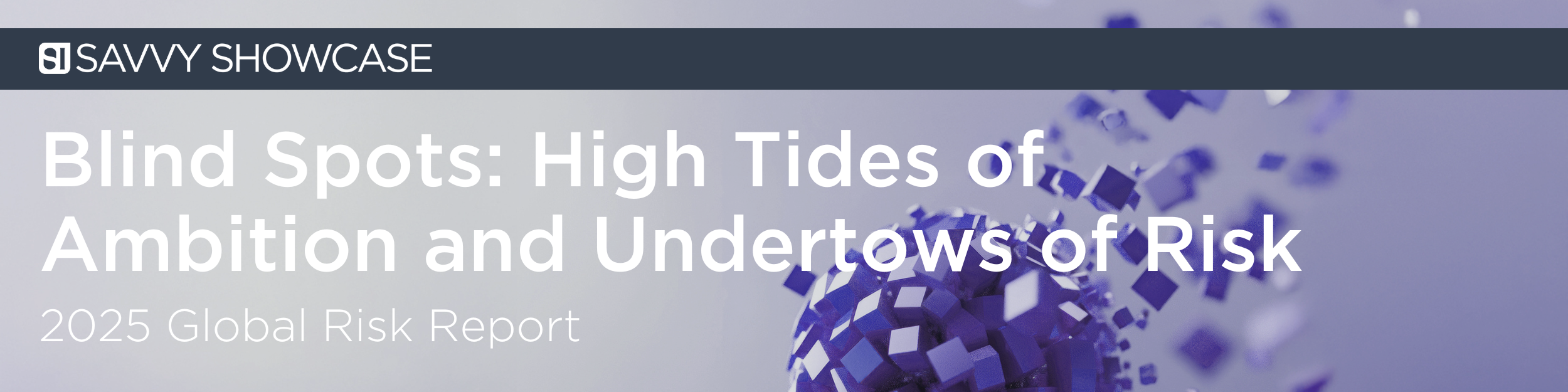2025 Global Risk Report: Blind Spots