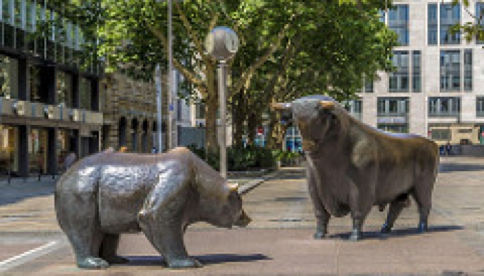 Frankfurt Stock Exchange Bull and Bear Markets