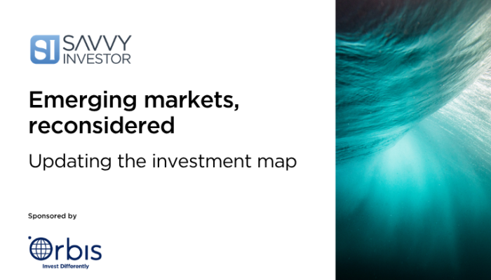 Savvy Investor