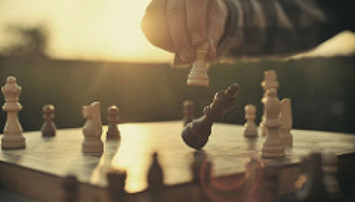chess strategy, risk appetite in asset allocation
