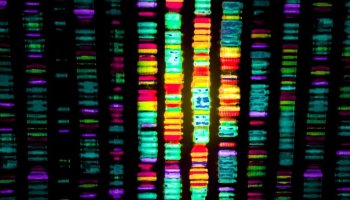 gene sequencing trends