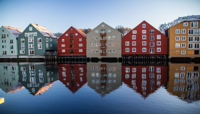 Norway SWF Reflections