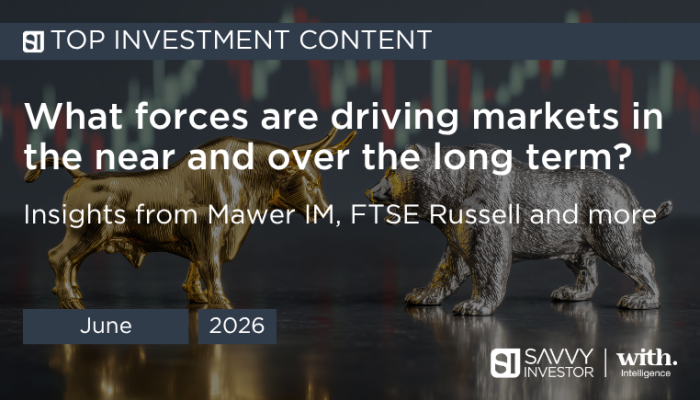 Savvy Investor