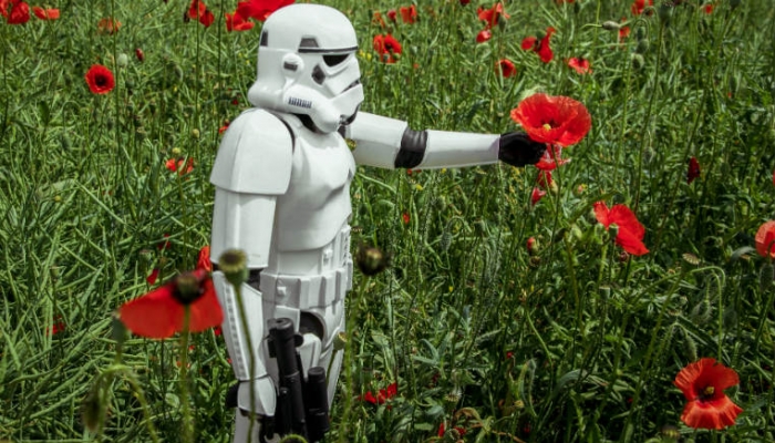 star wars stormtrooper picking poppy