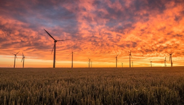 sunset wind turbines