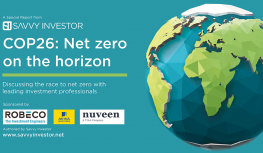 COP26: Net zero on the horizon  Image