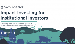 Impact Investing for Institutional Investors Image