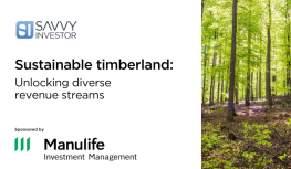 Sustainable timberland: Unlocking diverse revenue streams Image