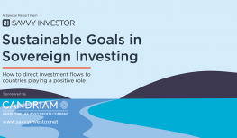 Sustainable Goals in Sovereign Investing Image