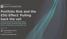 Portfolio Risk and the ESG Effect: Pulling back the veil Image