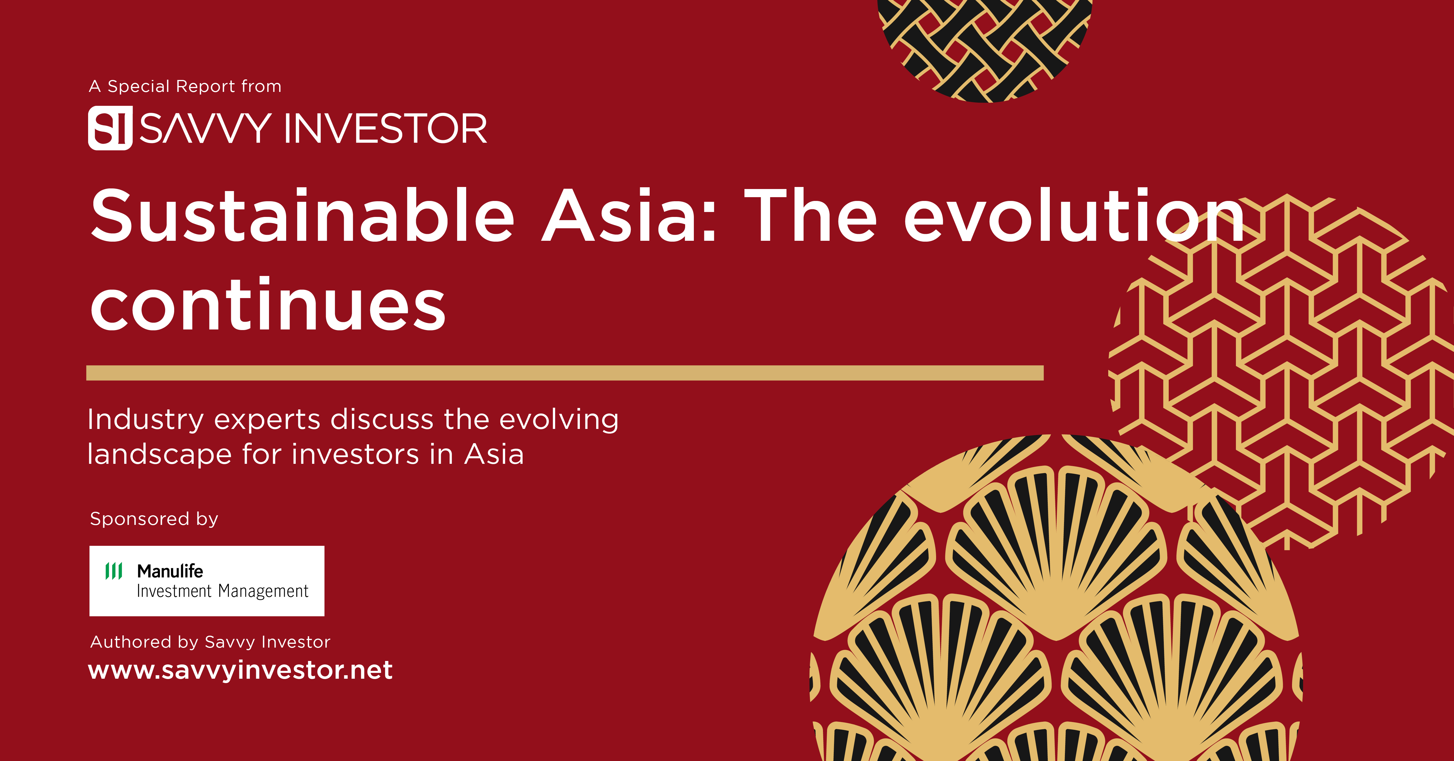 Involution Asia Sustainable Asia: The continuing evolution | Savvy Investor